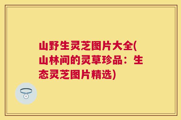 山野生灵芝图片大全(山林间的灵草珍品：生态灵芝图片精选)