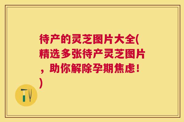待产的灵芝图片大全(精选多张待产灵芝图片,助你解除孕期!) 待产的灵芝图片大全(精选多张待产灵芝图片,助你解除孕期!)