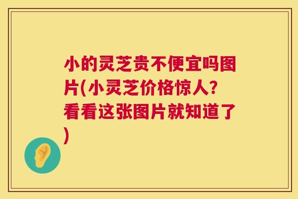 小的灵芝贵不便宜吗图片(小灵芝价格惊人？看看这张图片就知道了)