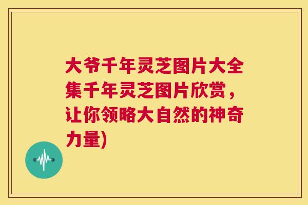 大爷千年灵芝图片大全集千年灵芝图片欣赏，让你领略大自然的神奇力量)