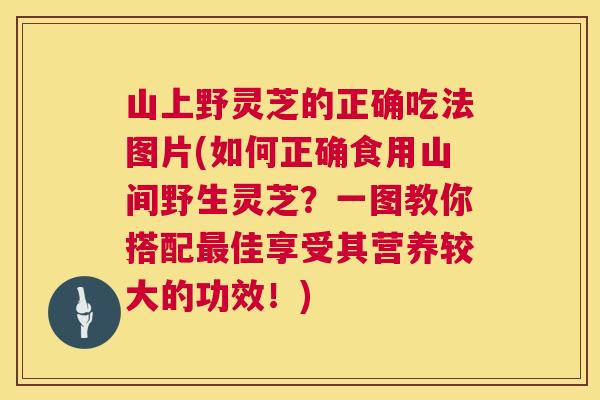 山上野灵芝的正确吃法图片(如何正确食用山间野生灵芝？一图教你搭配最佳享受其营养较大的功效！)