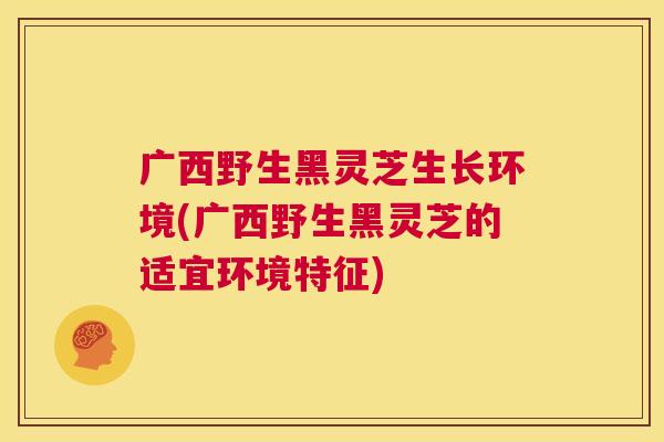 广西野生黑灵芝生长环境(广西野生黑灵芝的适宜环境特征) 广西野生黑灵芝生长环境(广西野生黑灵芝的适宜环境特征)
