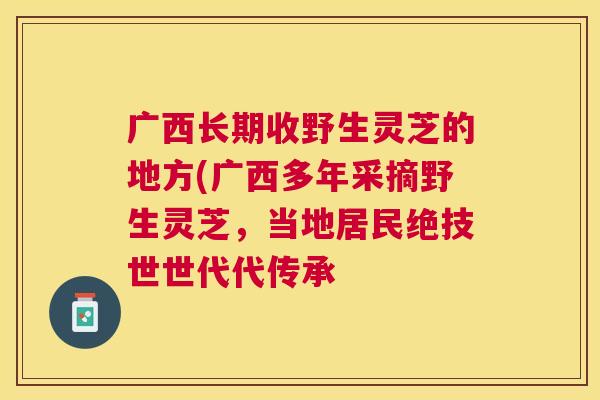 广西长期收野生灵芝的地方(广西多年采摘野生灵芝，当地居民绝技世世代代传承