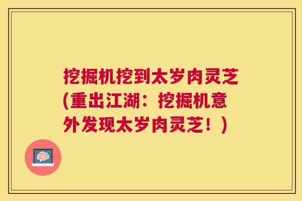 挖掘机挖到太岁肉灵芝(重出江湖：挖掘机意外发现太岁肉灵芝！)
