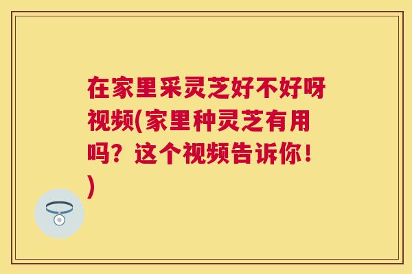在家里采灵芝好不好呀视频(家里种灵芝有用吗？这个视频告诉你！)