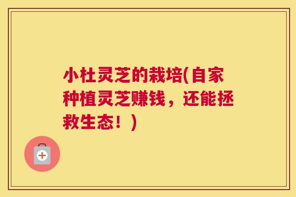 小杜灵芝的栽培(自家种植灵芝赚钱，还能拯救生态！)