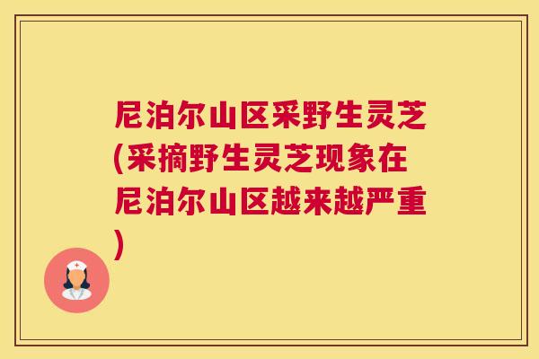 尼泊尔山区采野生灵芝(采摘野生灵芝现象在尼泊尔山区越来越严重)