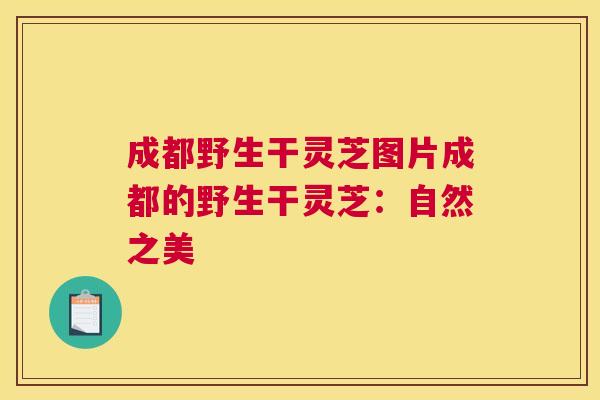 成都野生干灵芝图片成都的野生干灵芝：自然之美