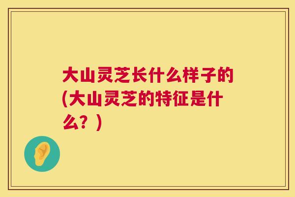 大山灵芝长什么样子的(大山灵芝的特征是什么?) 大山灵芝长什么样子的(大山灵芝的特征是什么?)