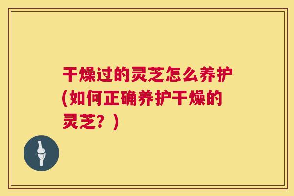 干燥过的灵芝怎么养护(如何正确养护干燥的灵芝？)