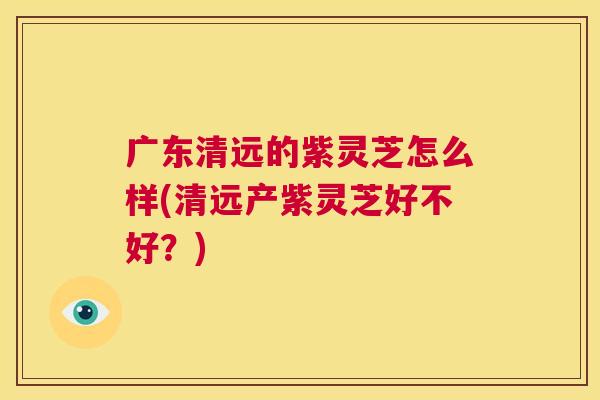 广东清远的紫灵芝怎么样(清远产紫灵芝好不好?) 广东清远的紫灵芝怎么样(清远产紫灵芝好不好?)
