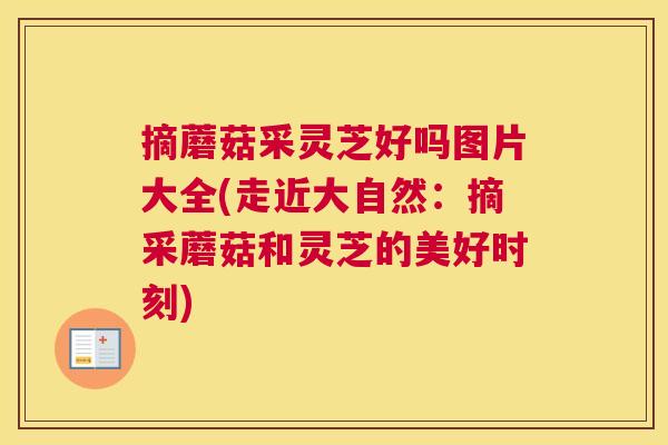摘蘑菇采灵芝好吗图片大全(走近大自然：摘采蘑菇和灵芝的美好时刻)