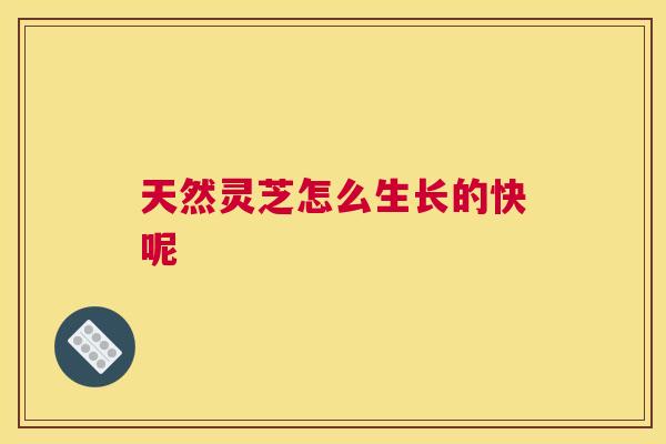 天然灵芝怎么生长的快呢
