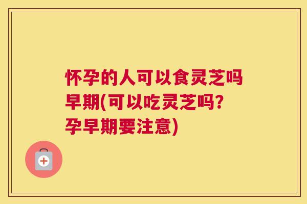 怀孕的人可以食灵芝吗早期(可以吃灵芝吗？孕早期要注意)