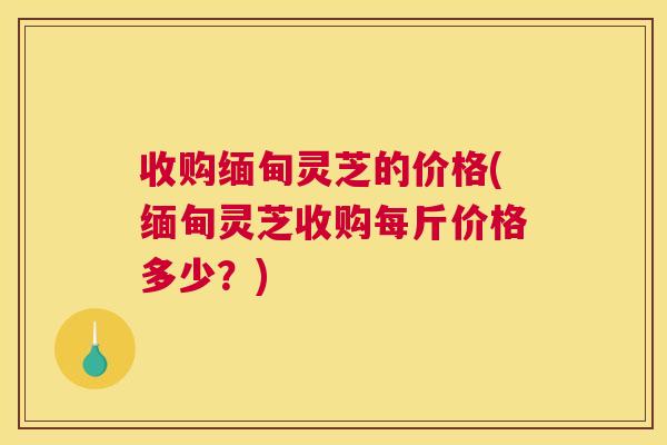 收购缅甸灵芝的价格(缅甸灵芝收购每斤价格多少?) 收购缅甸灵芝的价格(缅甸灵芝收购每斤价格多少?)