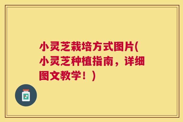 小灵芝栽培方式图片(小灵芝种植指南，详细图文教学！)