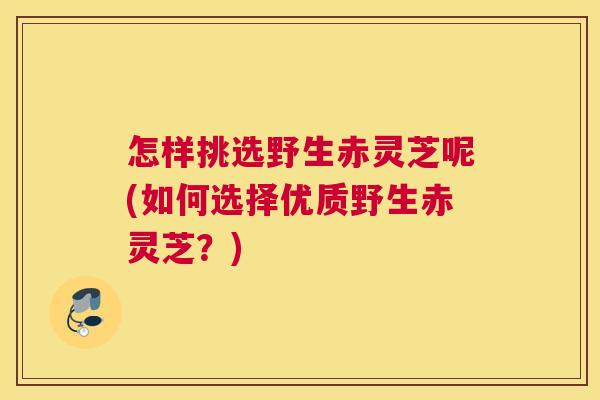 怎样挑选野生赤灵芝呢(如何选择优质野生赤灵芝?) 怎样挑选野生赤灵芝呢(如何选择优质野生赤灵芝?)