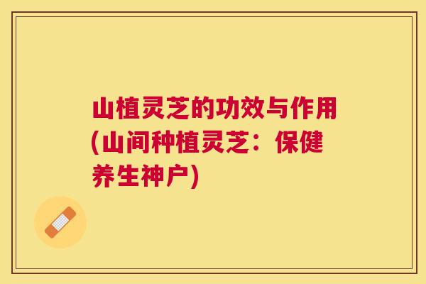 山植灵芝的功效与作用(山间种植灵芝：保健养生神户)