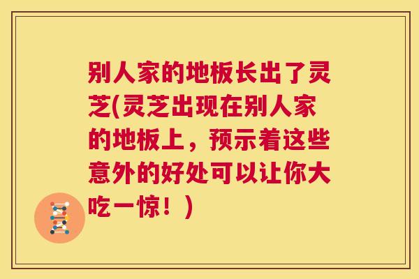 别人家的地板长出了灵芝(灵芝出现在别人家的地板上,预示着这些意外的好处可以让你大吃一惊!) 别人家的地板长出了灵芝(灵芝出现在别人家的地板上,预示着这些意外的好处可以让你大吃一惊!)