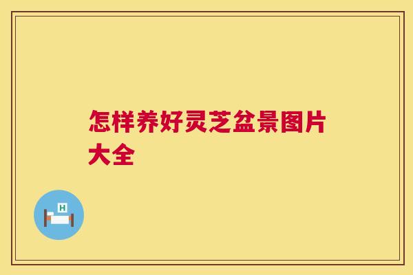 怎样养好灵芝盆景图片大全