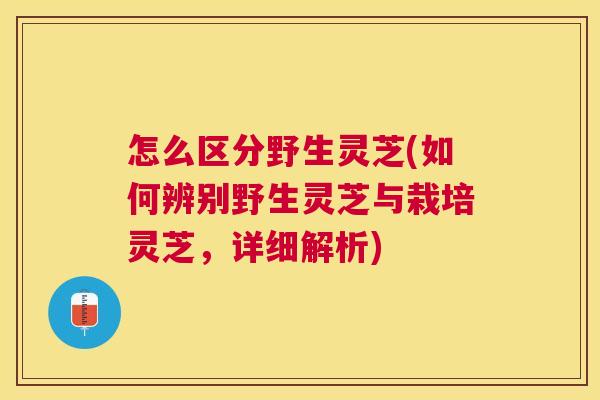 怎么区分野生灵芝(如何辨别野生灵芝与栽培灵芝，详细解析)