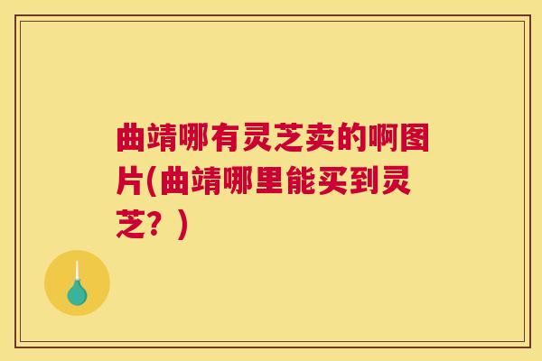 曲靖哪有灵芝卖的啊图片(曲靖哪里能买到灵芝?) 曲靖哪有灵芝卖的啊图片(曲靖哪里能买到灵芝?)