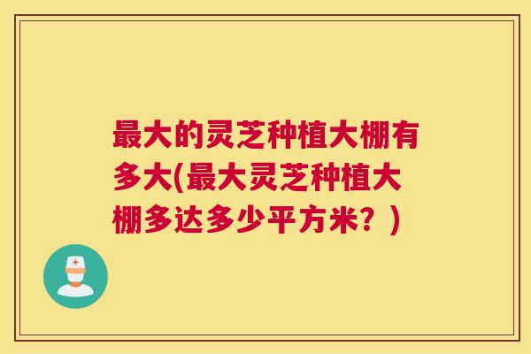 最大的灵芝种植大棚有多大(最大灵芝种植大棚多达多少平方米？)
