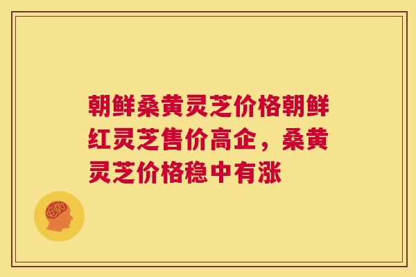 朝鲜桑黄灵芝价格朝鲜红灵芝售价高企，桑黄灵芝价格稳中有涨
