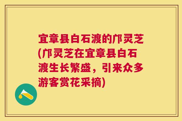宜章县白石渡的邝灵芝(邝灵芝在宜章县白石渡生长繁盛,引来众多游客赏花采摘) 宜章县白石渡的邝灵芝(邝灵芝在宜章县白石渡生长繁盛,引来众多游客赏花采摘)