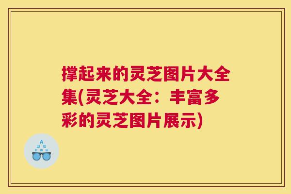 撑起来的灵芝图片大全集(灵芝大全：丰富多彩的灵芝图片展示)