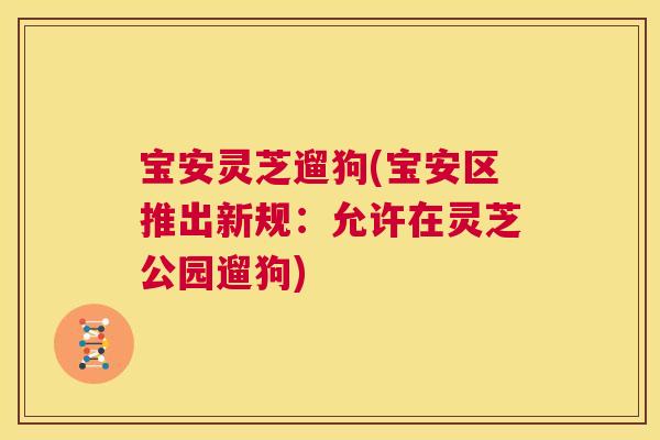 宝安灵芝遛狗(宝安区推出新规：允许在灵芝公园遛狗)