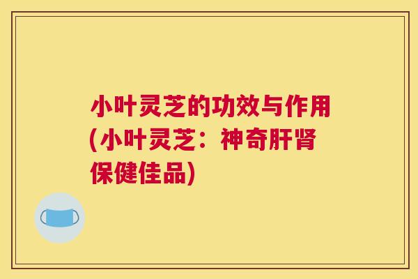 小叶灵芝的功效与作用(小叶灵芝：神奇保健佳品)
