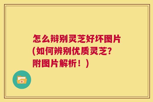 怎么辩别灵芝好坏图片(如何辨别优质灵芝？附图片解析！)