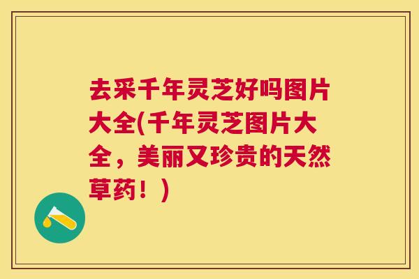 去采千年灵芝好吗图片大全(千年灵芝图片大全，美丽又珍贵的天然草药！)