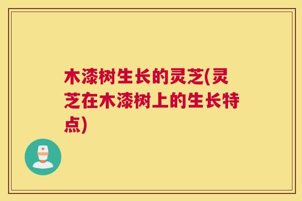 木漆树生长的灵芝(灵芝在木漆树上的生长特点) 木漆树生长的灵芝(灵芝在木漆树上的生长特点)