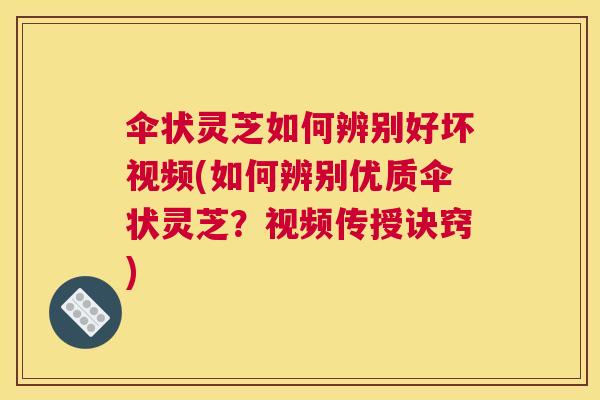 伞状灵芝如何辨别好坏视频(如何辨别优质伞状灵芝？视频传授诀窍)