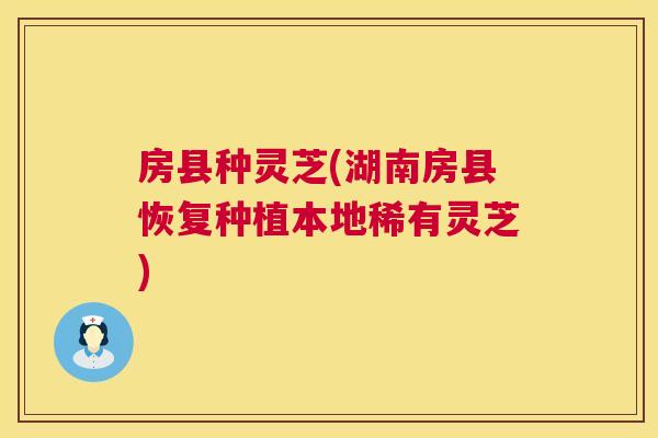 房县种灵芝(湖南房县恢复种植本地稀有灵芝) 房县种灵芝(湖南房县恢复种植本地稀有灵芝)