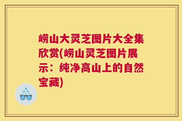 崂山大灵芝图片大全集欣赏(崂山灵芝图片展示:纯净高山上的自然宝藏) 崂山大灵芝图片大全集欣赏(崂山灵芝图片展示:纯净高山上的自然宝藏)