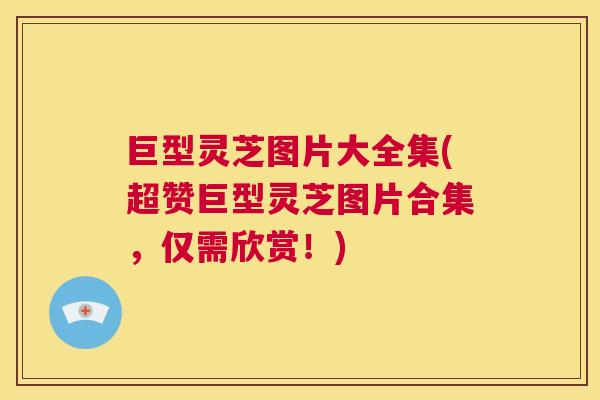 巨型灵芝图片大全集(超赞巨型灵芝图片合集，仅需欣赏！)