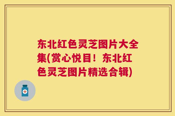 东北红色灵芝图片大全集(赏心悦目！东北红色灵芝图片精选合辑)