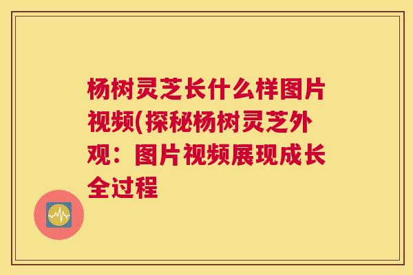 杨树灵芝长什么样图片视频(探秘杨树灵芝外观：图片视频展现成长全过程