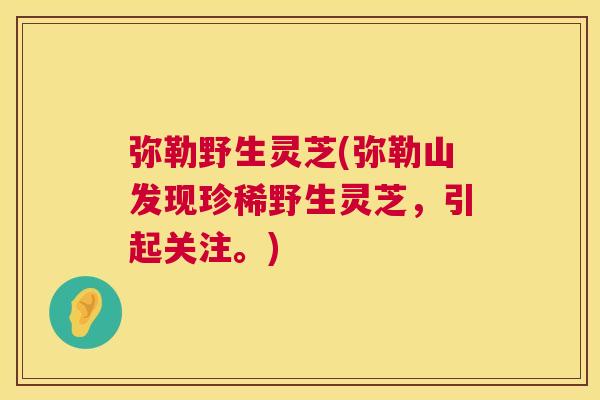 弥勒野生灵芝(弥勒山发现珍稀野生灵芝，引起关注。)