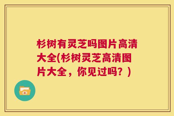 杉树有灵芝吗图片高清大全(杉树灵芝高清图片大全，你见过吗？)