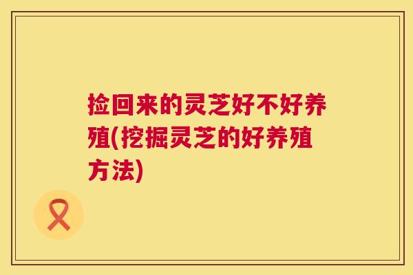 捡回来的灵芝好不好养殖(挖掘灵芝的好养殖方法)