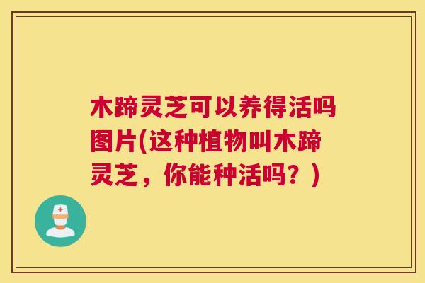 木蹄灵芝可以养得活吗图片(这种植物叫木蹄灵芝，你能种活吗？)