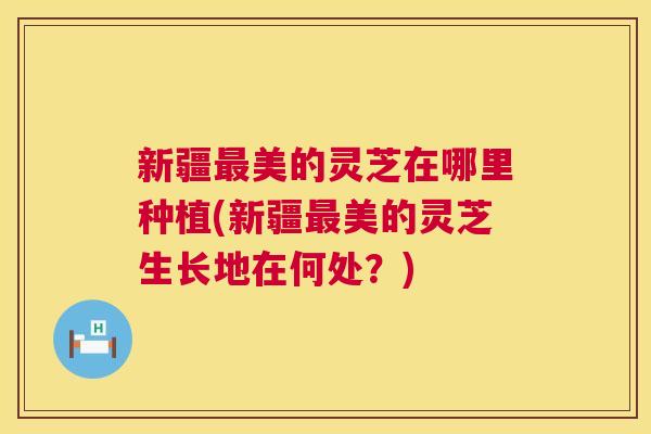 新疆最美的灵芝在哪里种植(新疆最美的灵芝生长地在何处？)