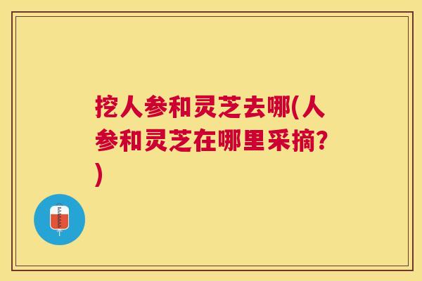 挖人参和灵芝去哪(人参和灵芝在哪里采摘？)
