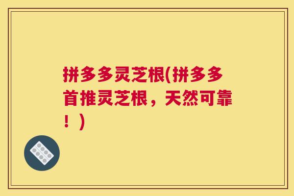 拼多多灵芝根(拼多多首推灵芝根，天然可靠！)