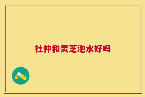 杜仲和灵芝泡水好吗