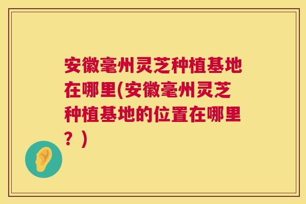 安徽毫州灵芝种植基地在哪里(安徽毫州灵芝种植基地的位置在哪里？)